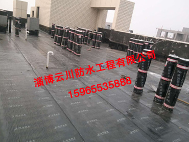 东城华府施工案例