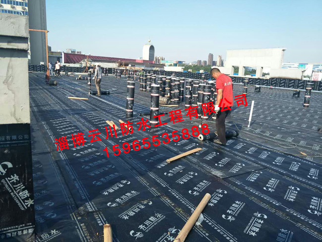 鲁维制药老年公寓防水工程