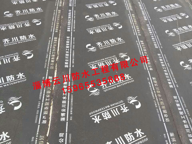 鲁维制药老年公寓防水工程