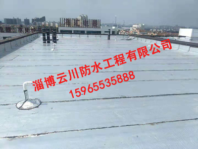 屋面防水工程案例