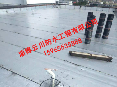屋面防水工程案例