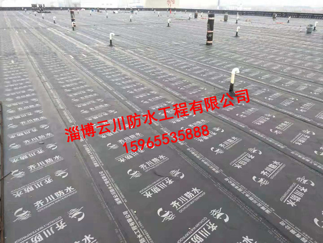 屋面防水工程案例