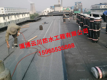 屋面防水工程案例