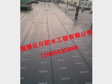 屋面防水工程案例