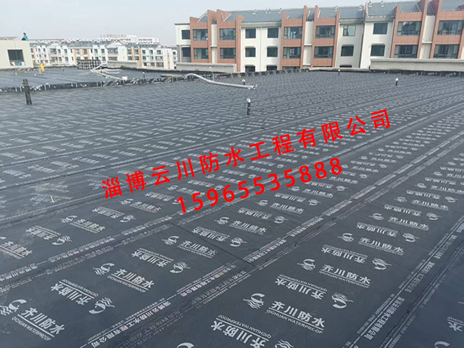 屋面防水工程案例